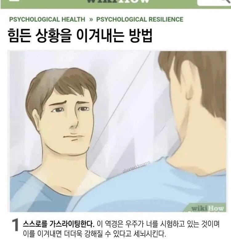 거울을 보며 힘든 상황을 이겨내기 위해 스스로를 가스라이팅하는 모습을 표현한 밈